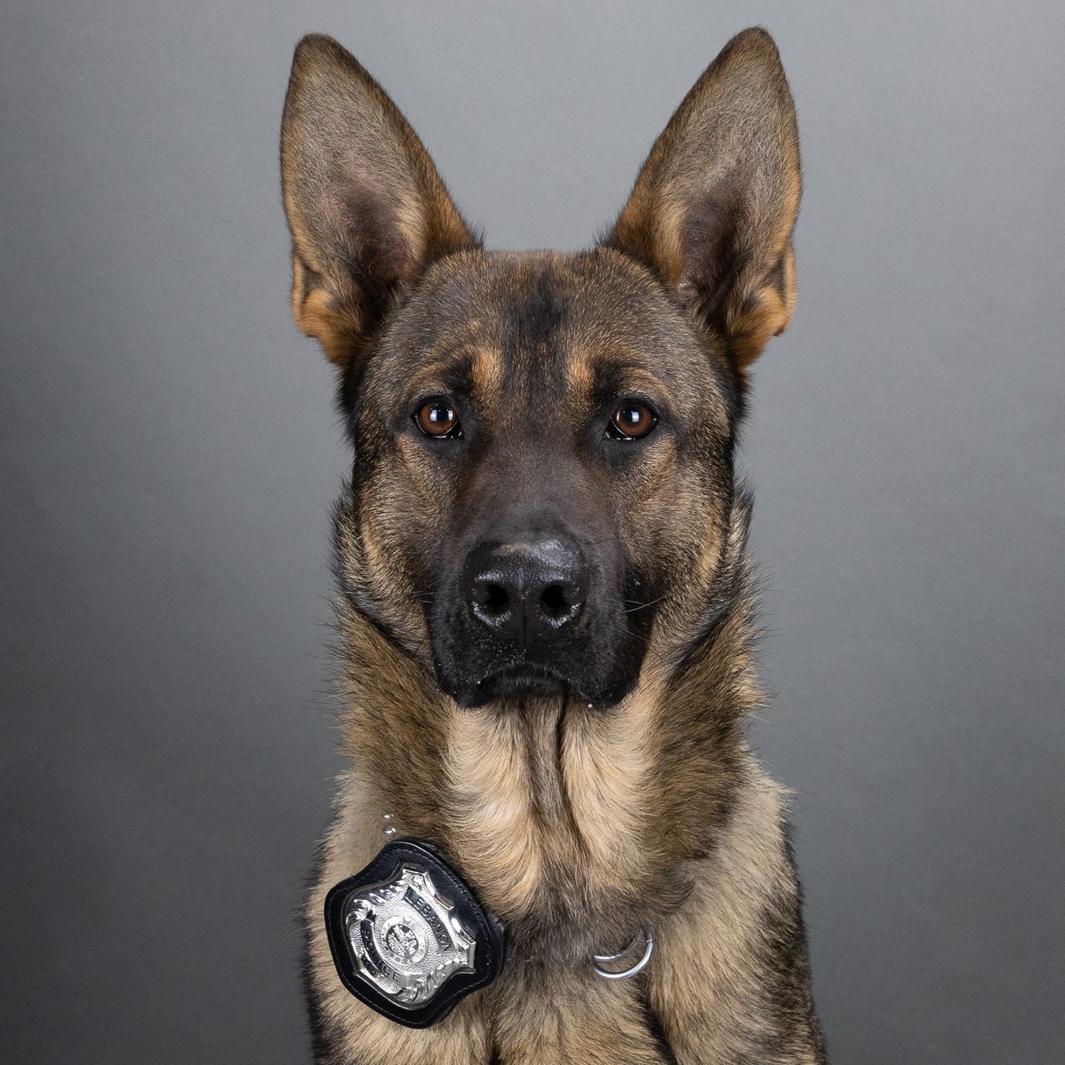 Lebanon Police Department tweet media