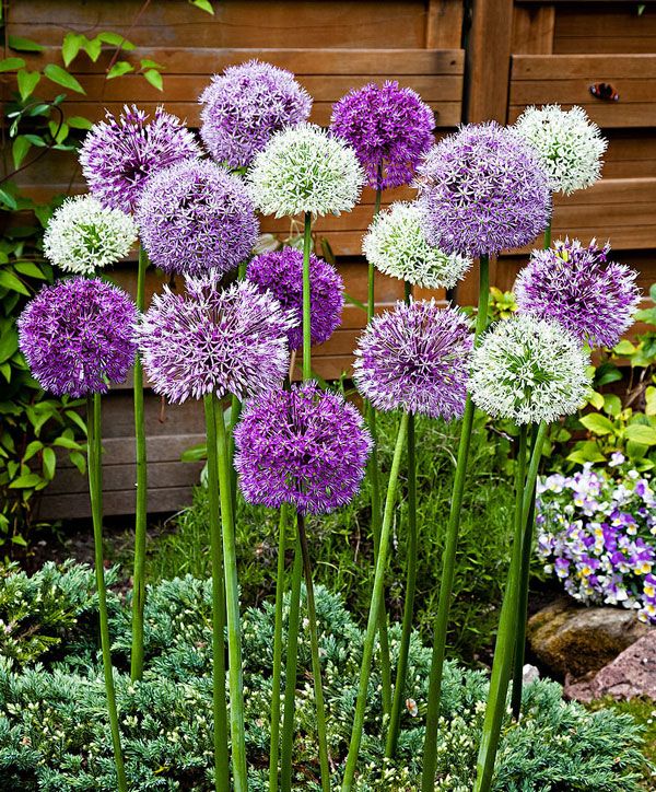 Documenta Terra tweet media