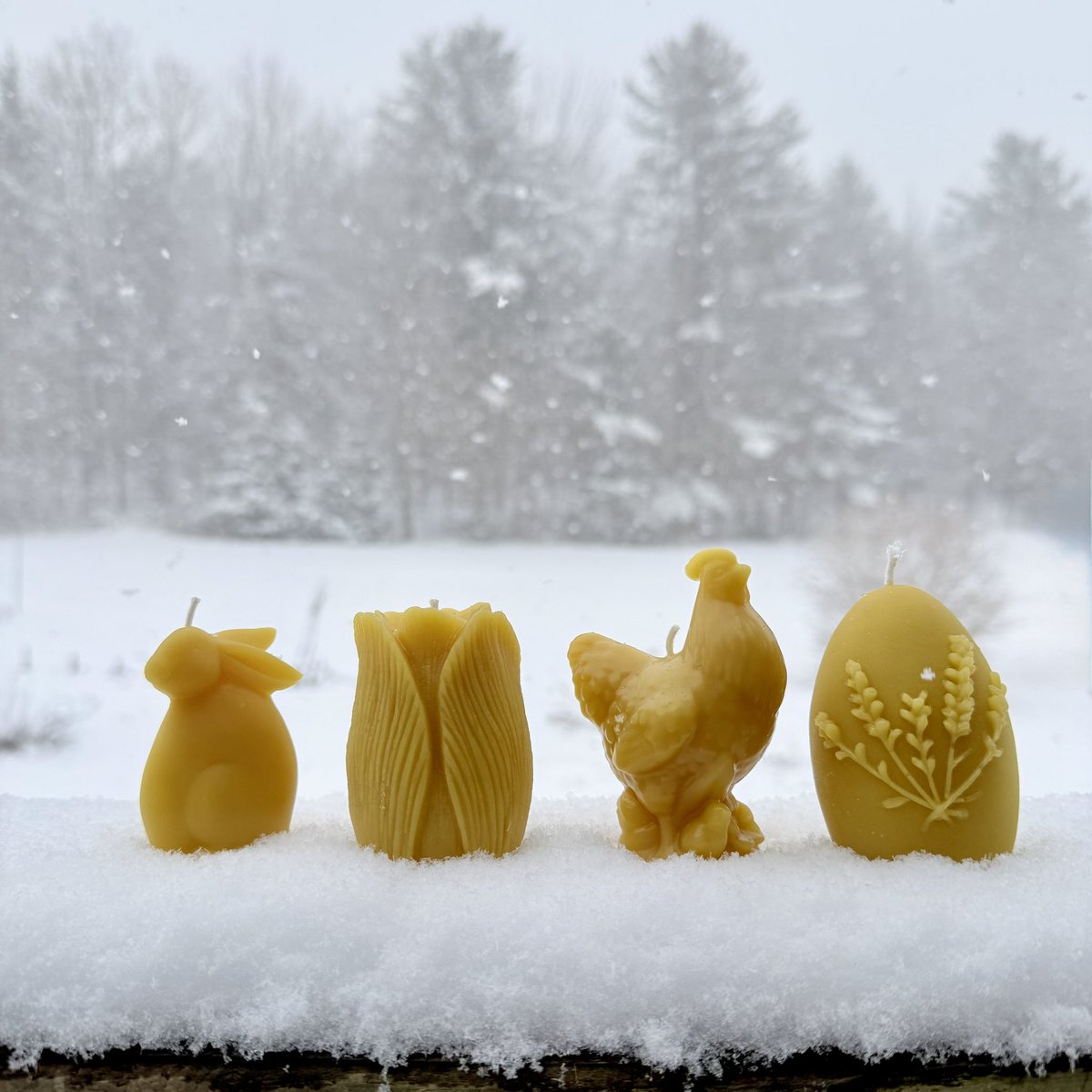 Lady Hollow Tree tweet media