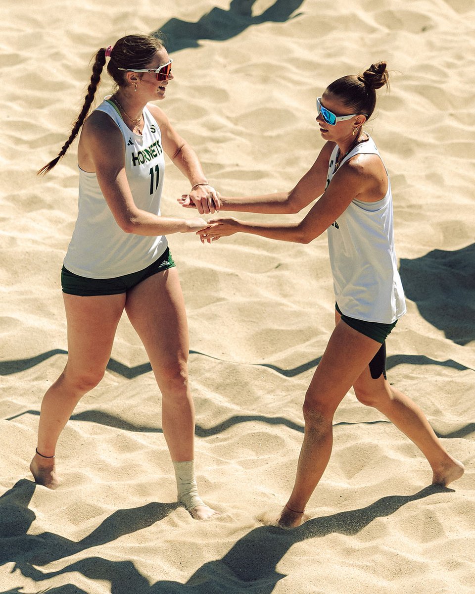Sacramento State Volleyball tweet media