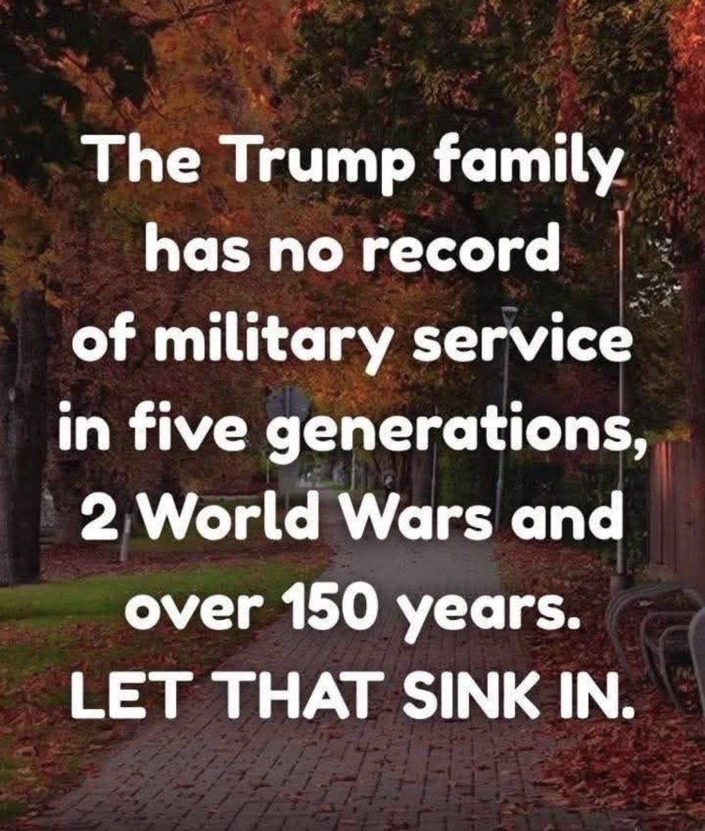 Witchelli tweet media