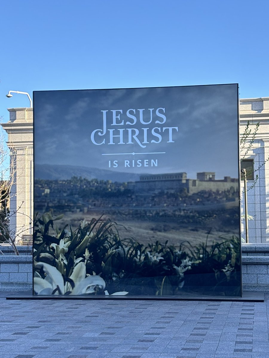 Jeanine Elsholz tweet media