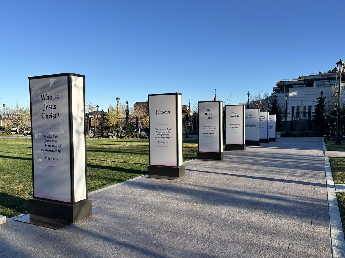 Jeanine Elsholz tweet media