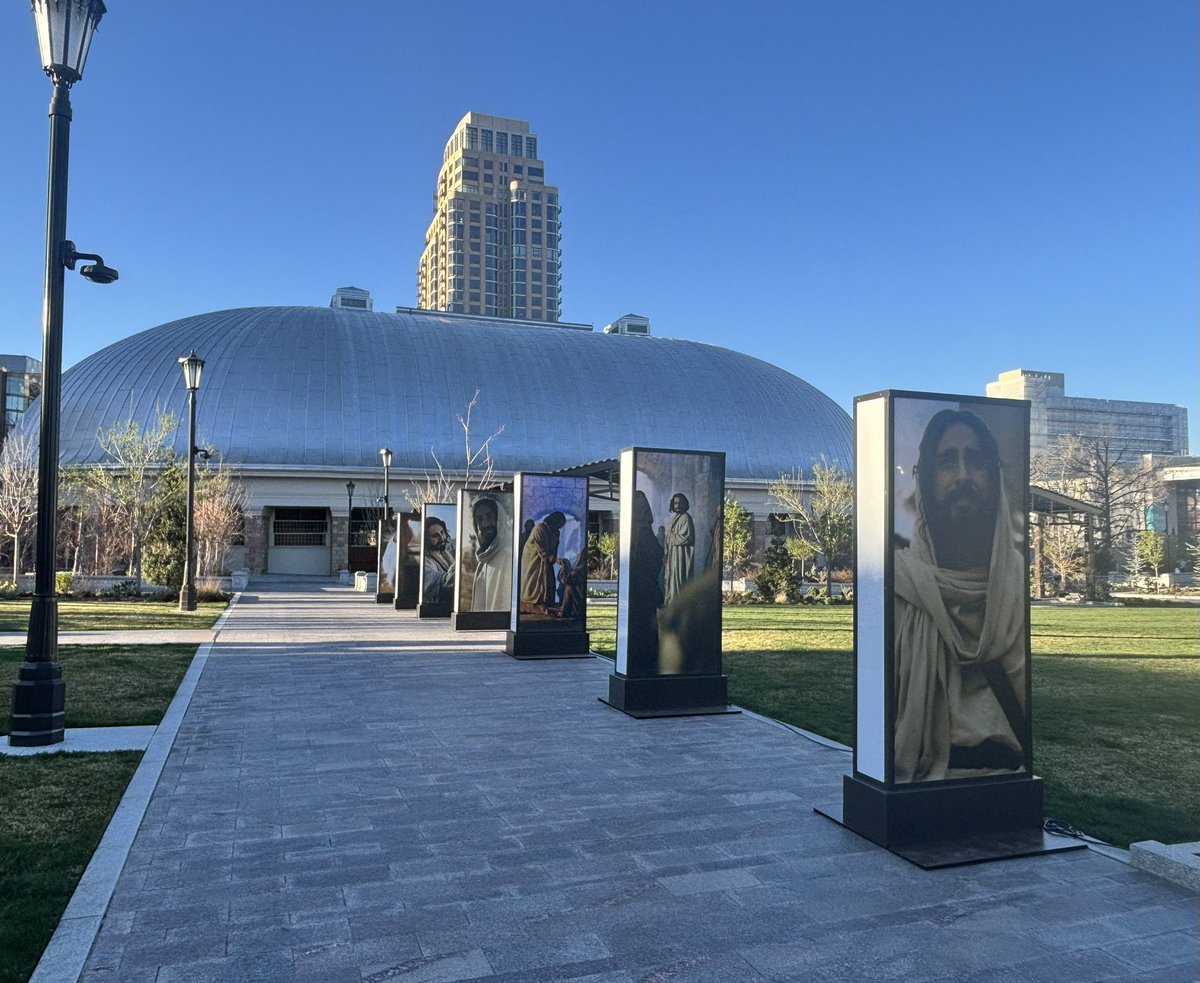 Jeanine Elsholz tweet media