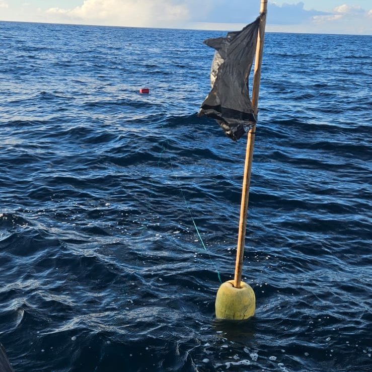 Parque Galápagos tweet media