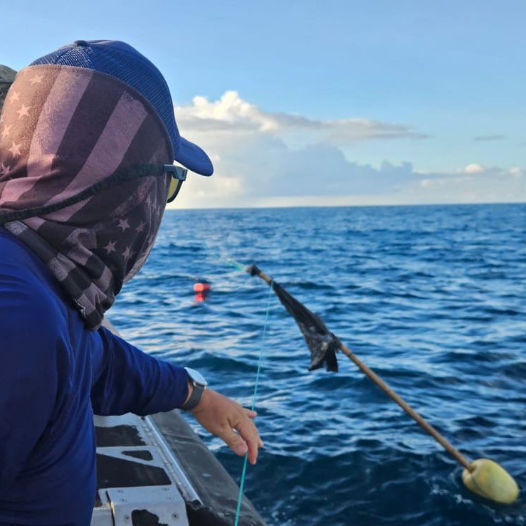 Parque Galápagos tweet media