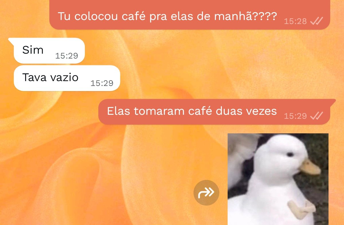 solnocaos's tweet photo. Essas gatasss https://t.co/QszRVgg75o
