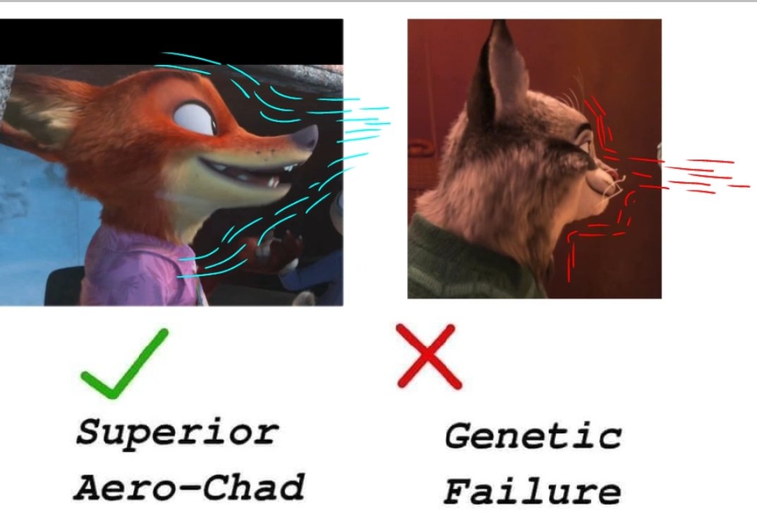 raving 🦎 tweet media