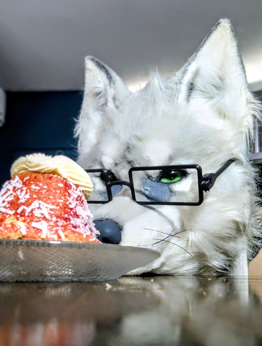 Sr. Gado 🐺👔✨ tweet media