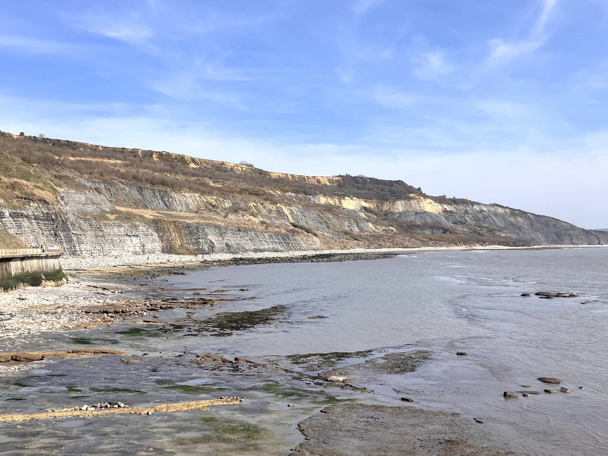 Lisa Wellwood Artist tweet media