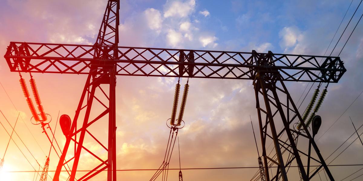 Instituto Mises tweet media