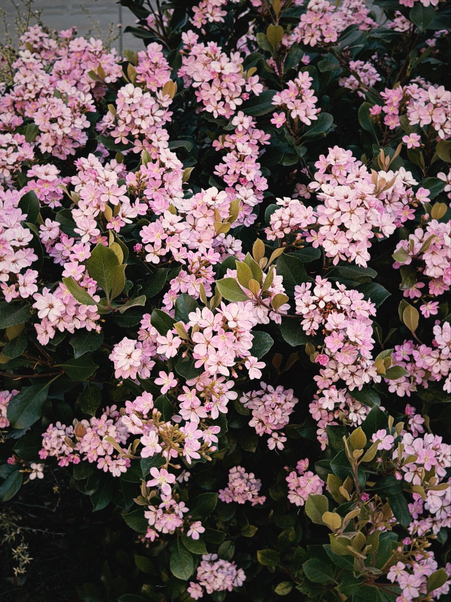 RODAB 🍺🍺🍺 tweet media