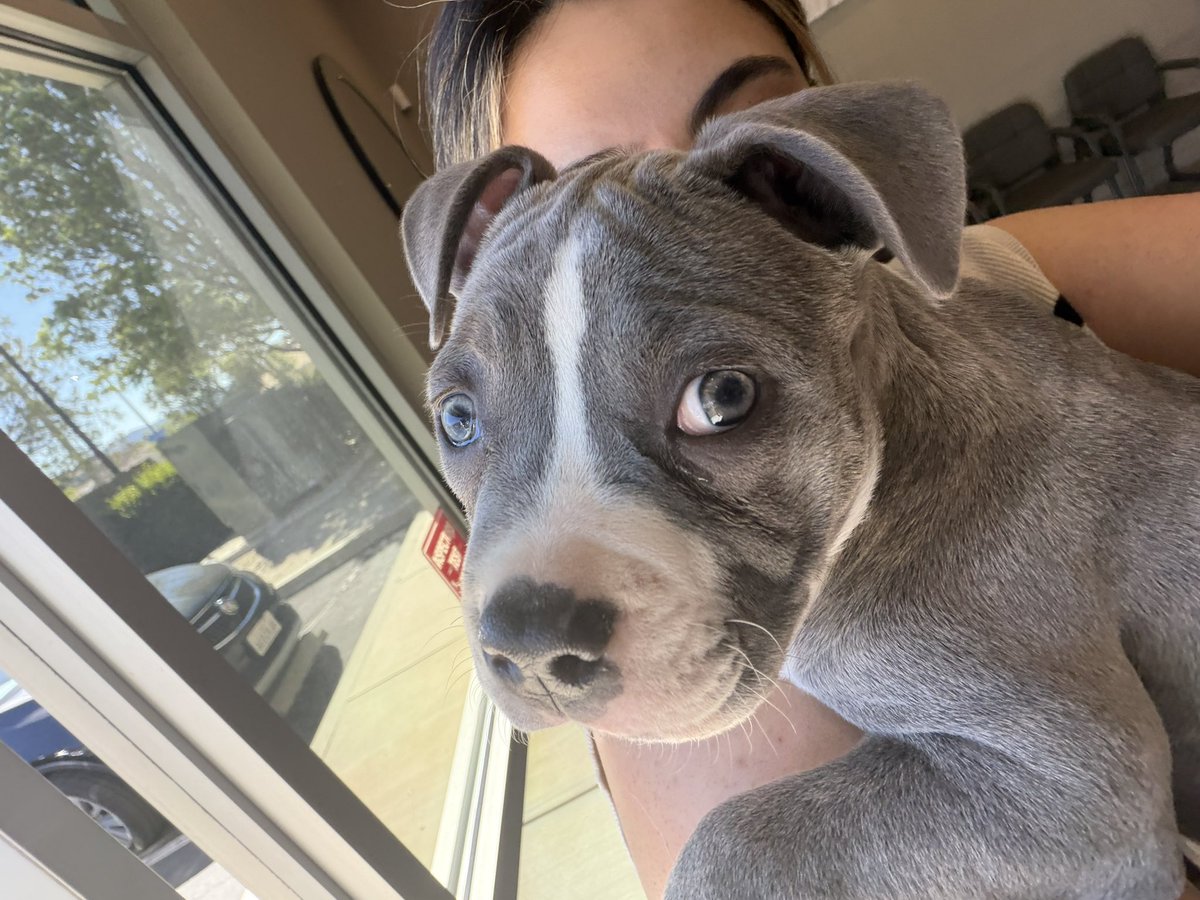 ⋆ ˚｡⋆୨♡୧⋆ ˚｡⋆ tweet media