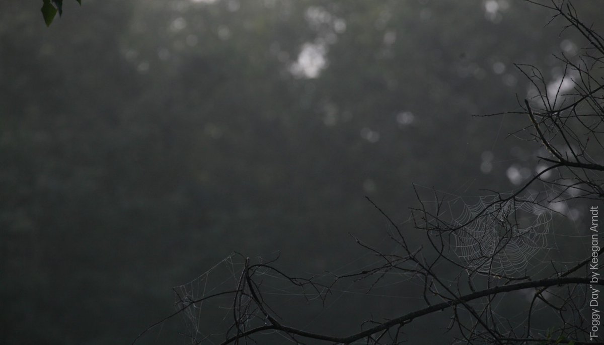 The Roberta Bondar Foundation tweet media