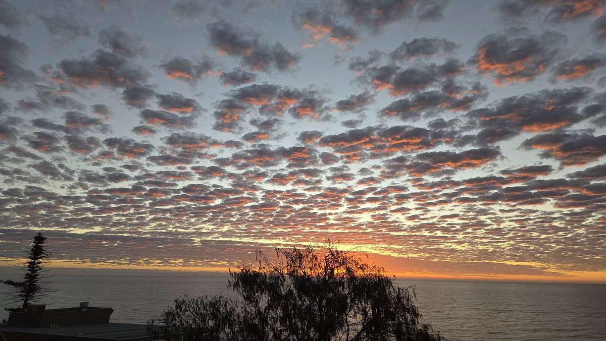 Dr Colin Hughes tweet media