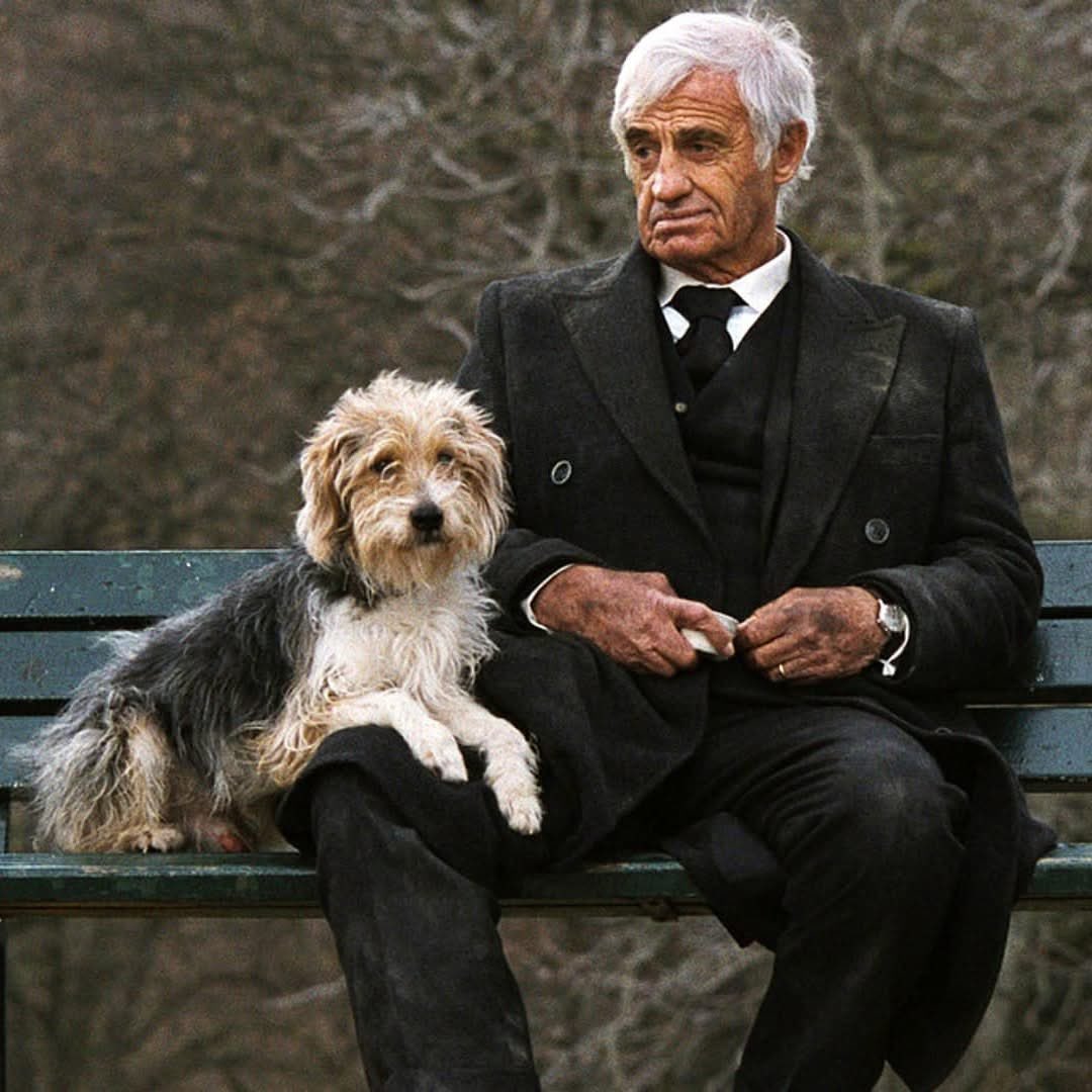 Paroles d'auteurs tweet media