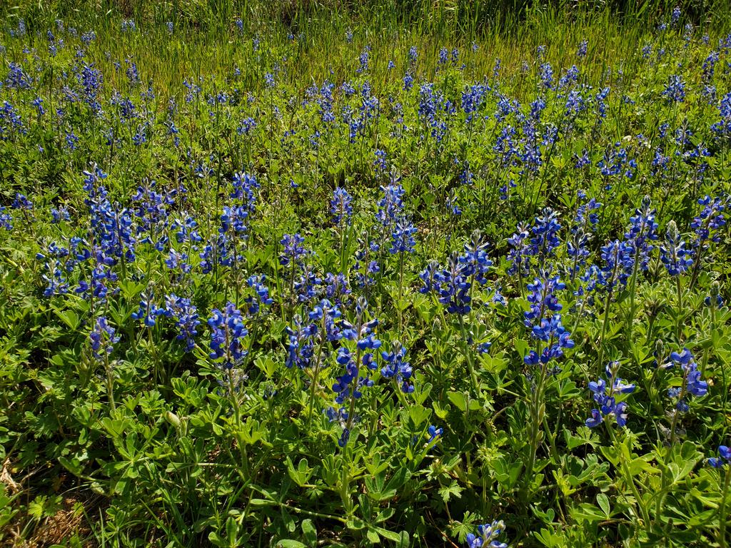 Amy Lawrence tweet media