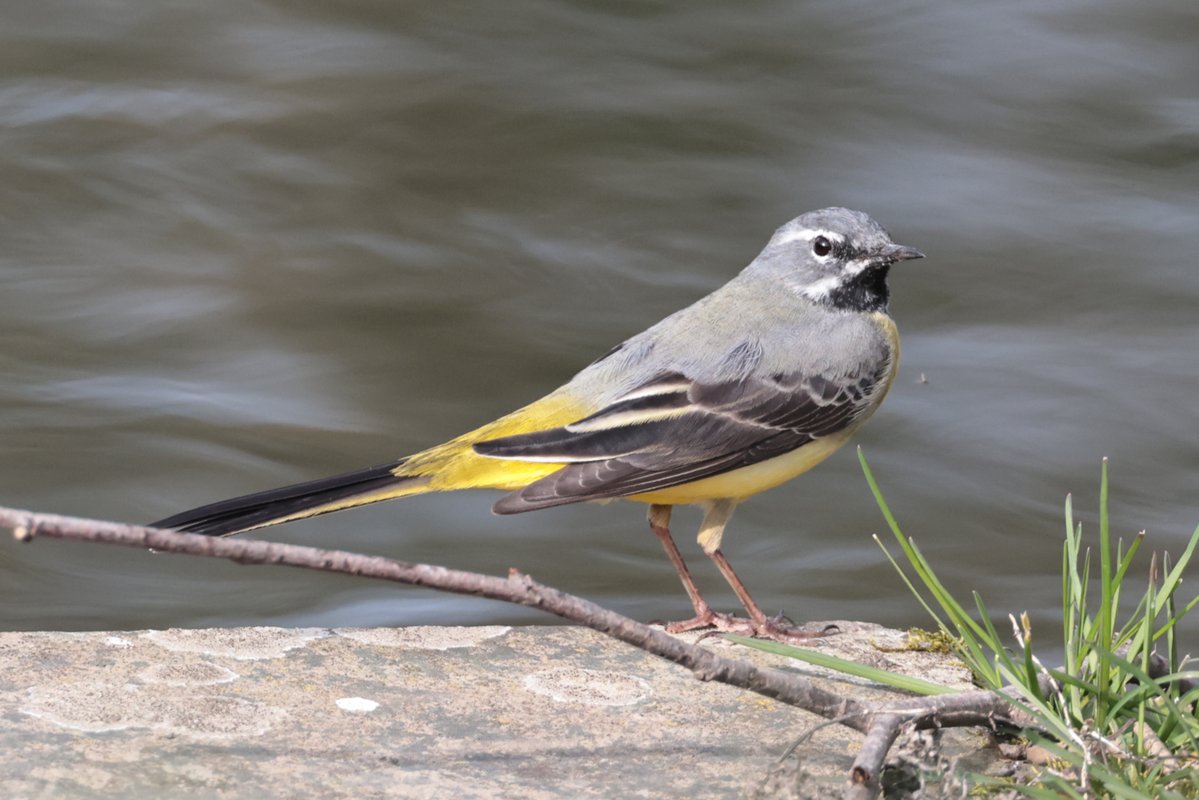 Christopher Teague tweet media