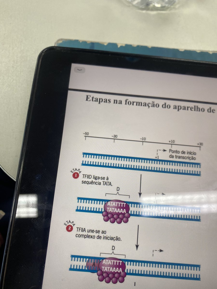 Theuzito vai ser MED UFPE 🙏🩺 tweet media