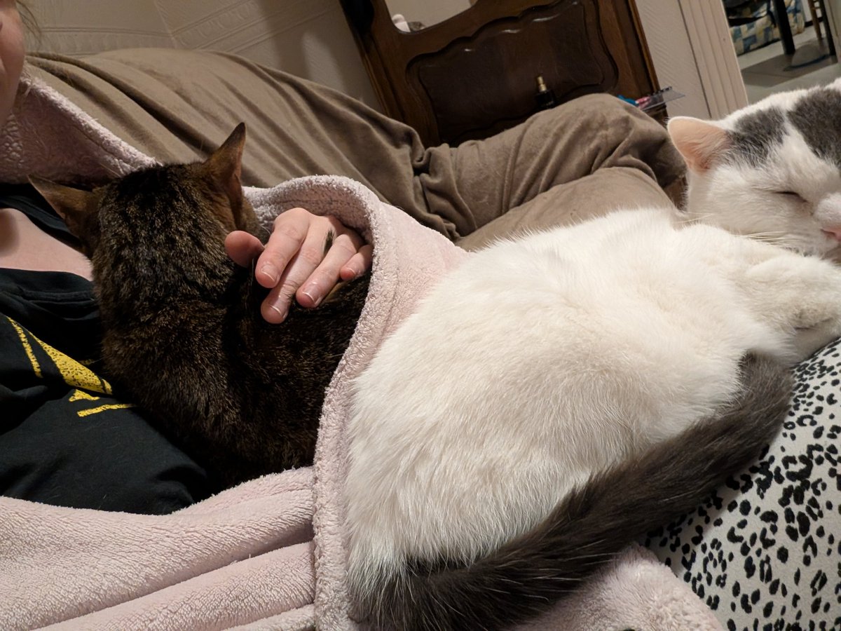 L'échoppe d'Axou ✨ tweet media