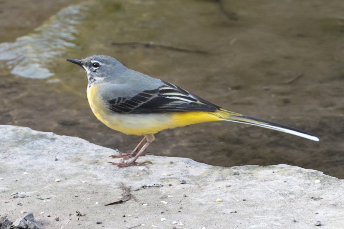 Christopher Teague tweet media