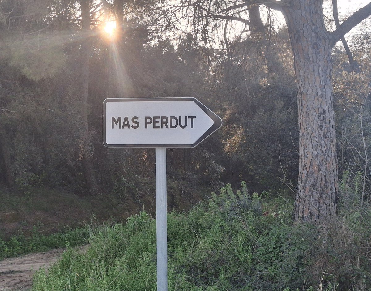 Lluís Muntada tweet media