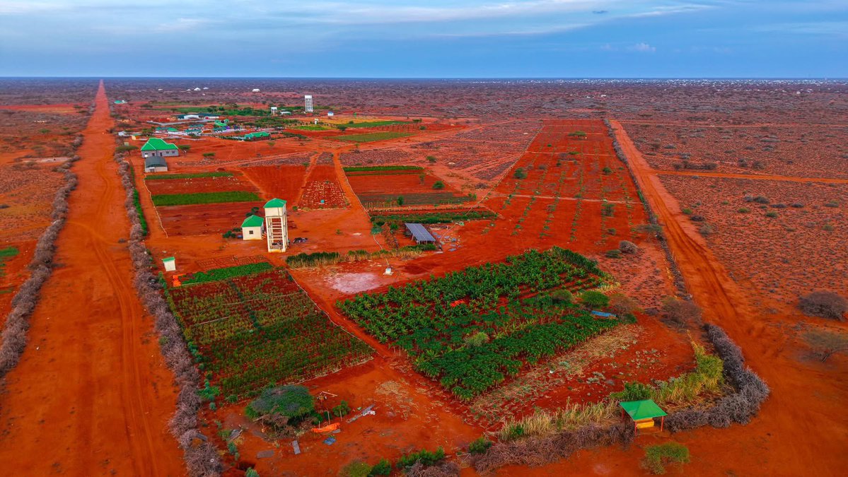 M.M. Dhoore tweet media