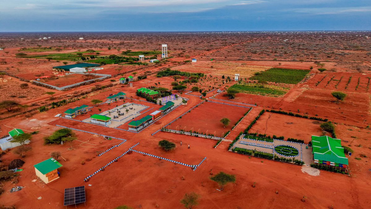 M.M. Dhoore tweet media