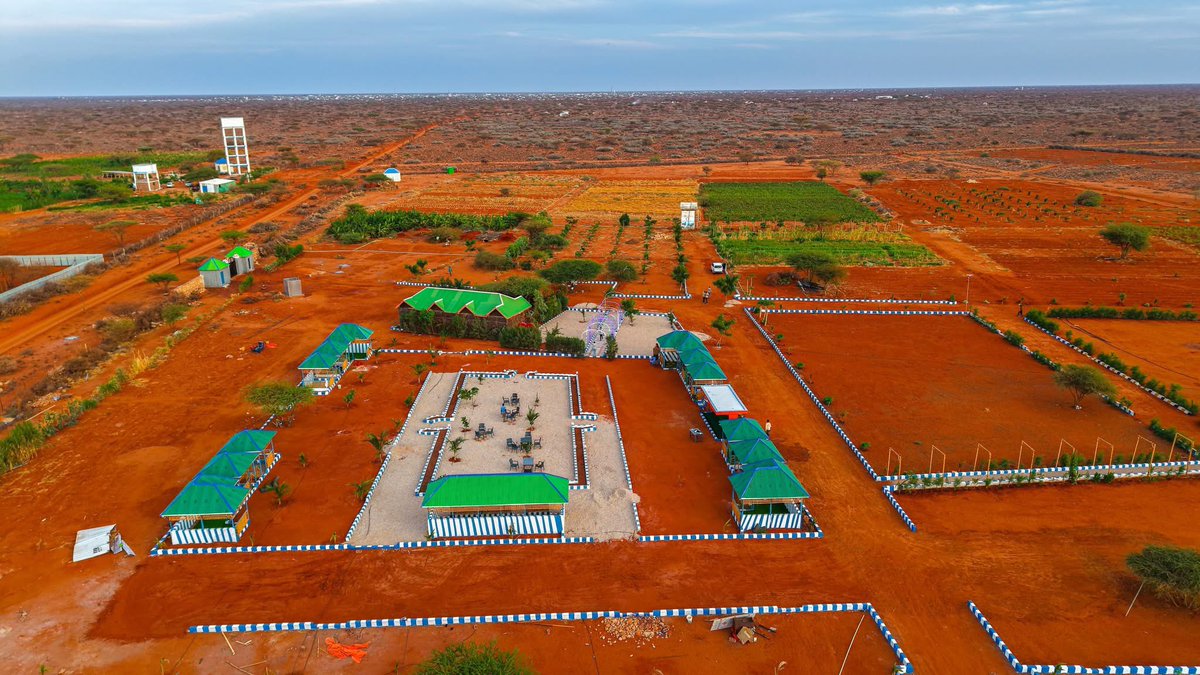 M.M. Dhoore tweet media