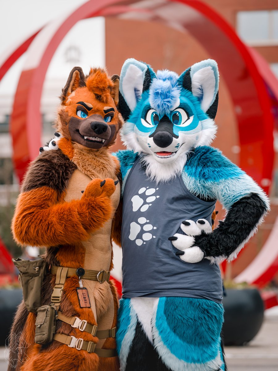 Cifer @NFC tweet media