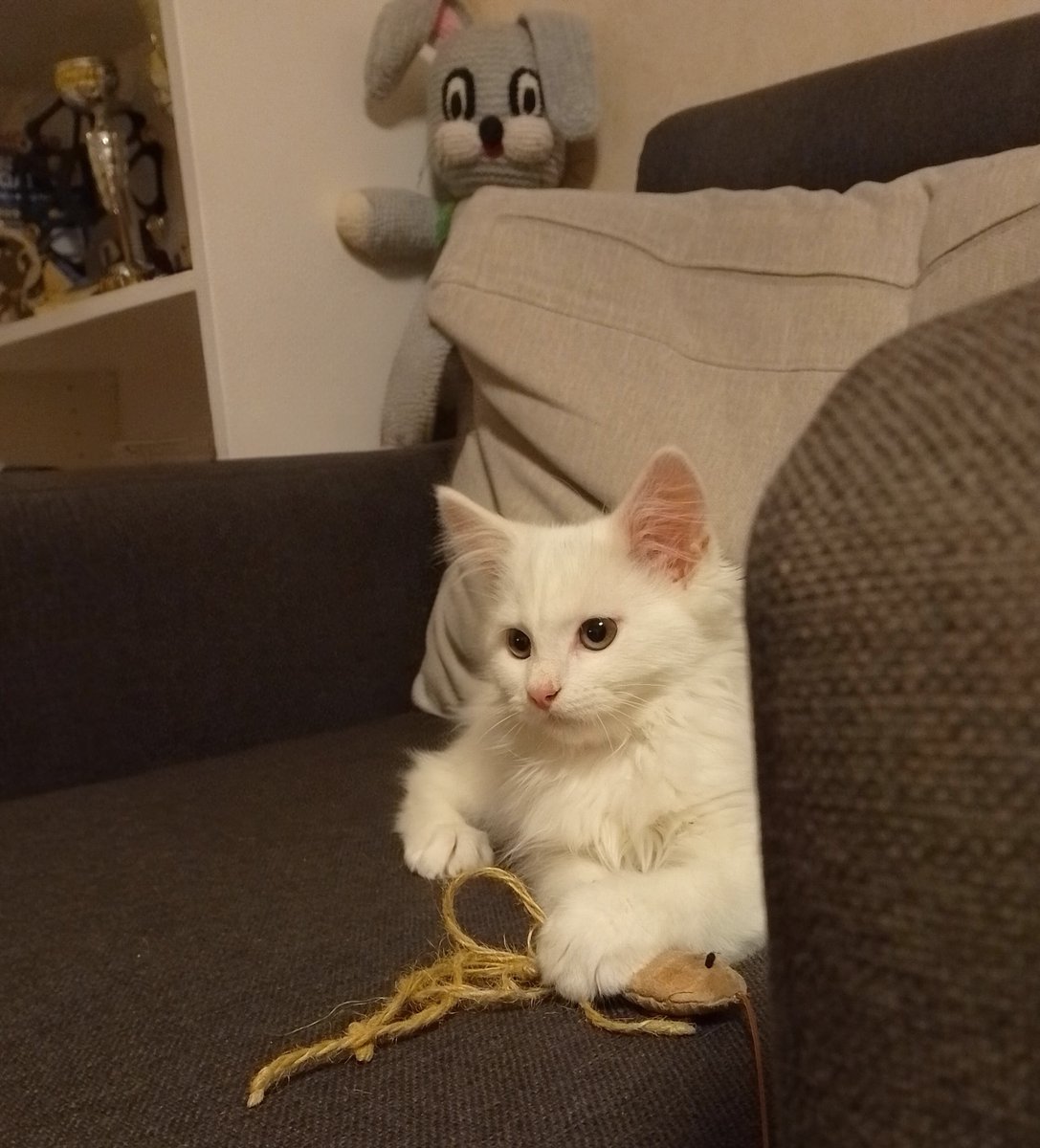 Madara Ozola tweet media