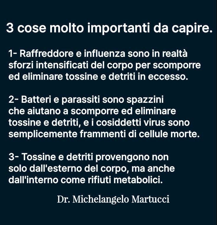 Anna 🪄⚡ tweet media