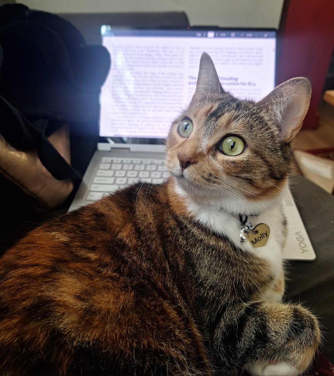 Molly World tweet media