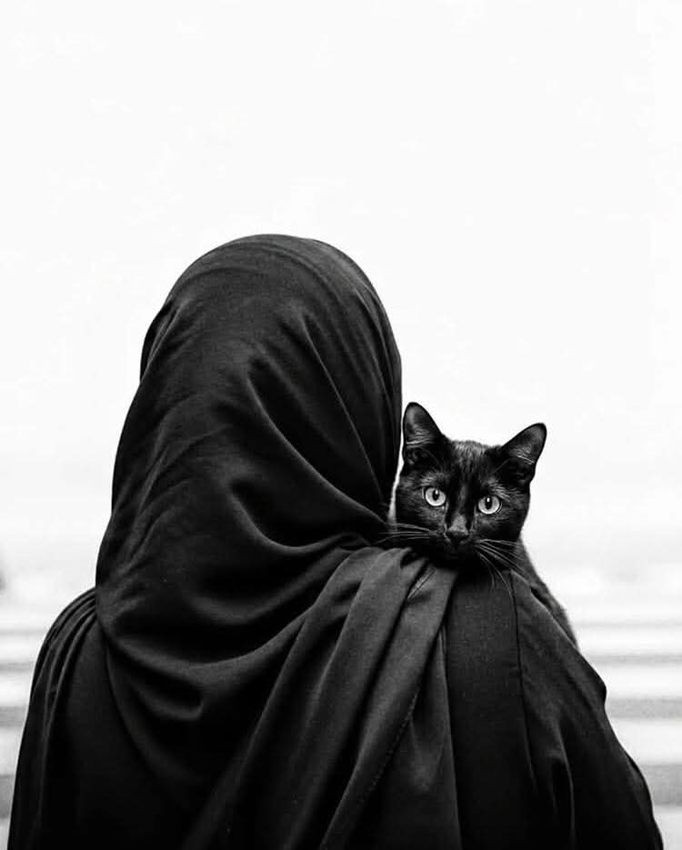 capita fantastic tweet media