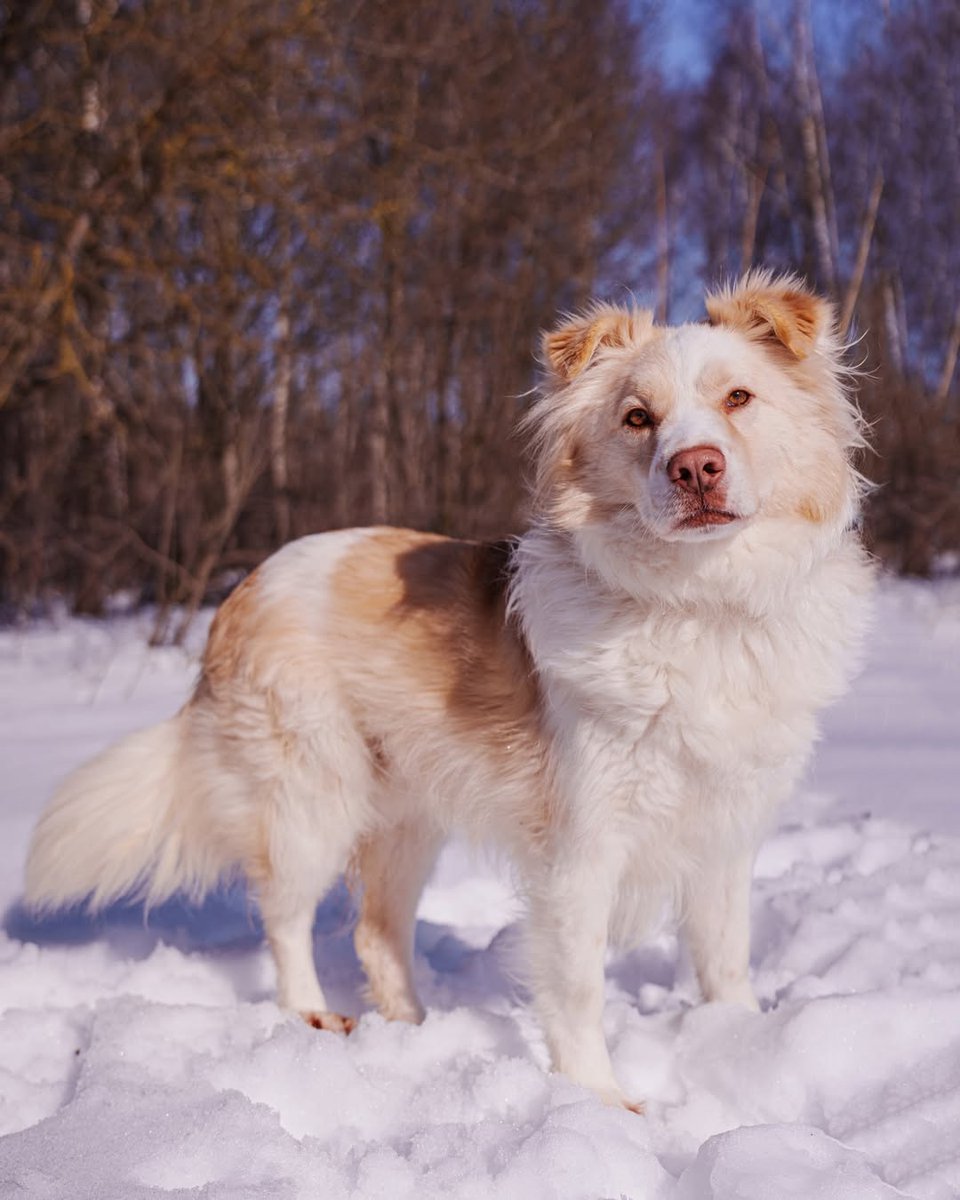 Yarmarka_Dobroty tweet media