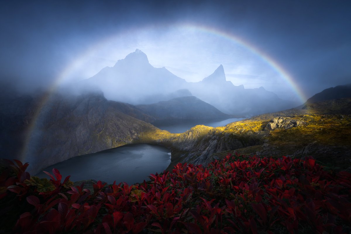 Purely Green tweet media