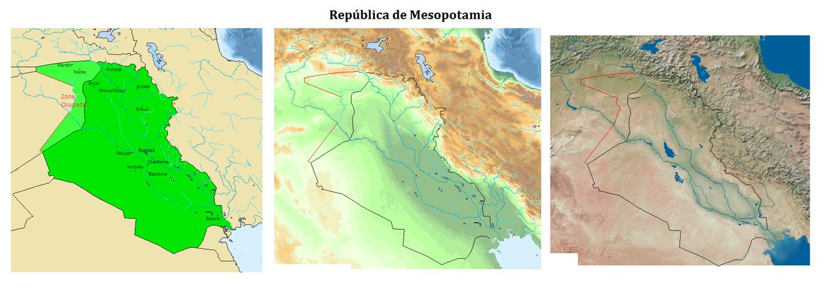 Bocchi naci tweet media