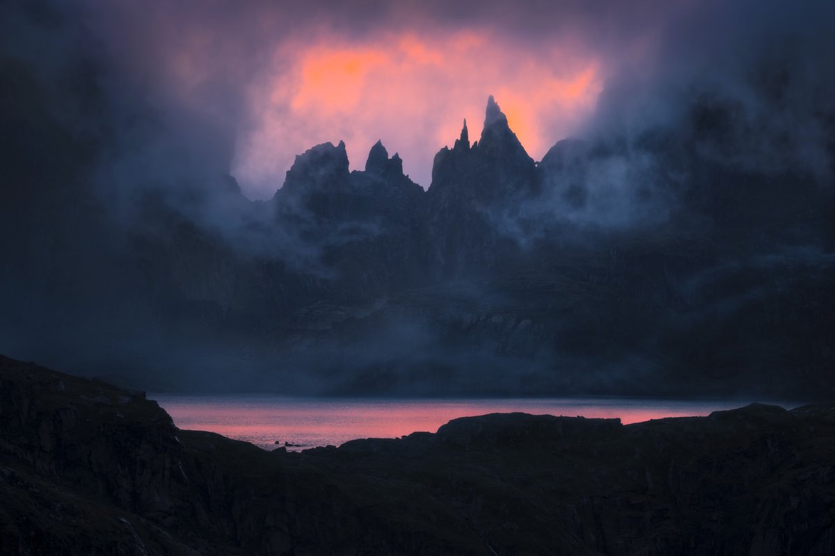 Purely Green tweet media