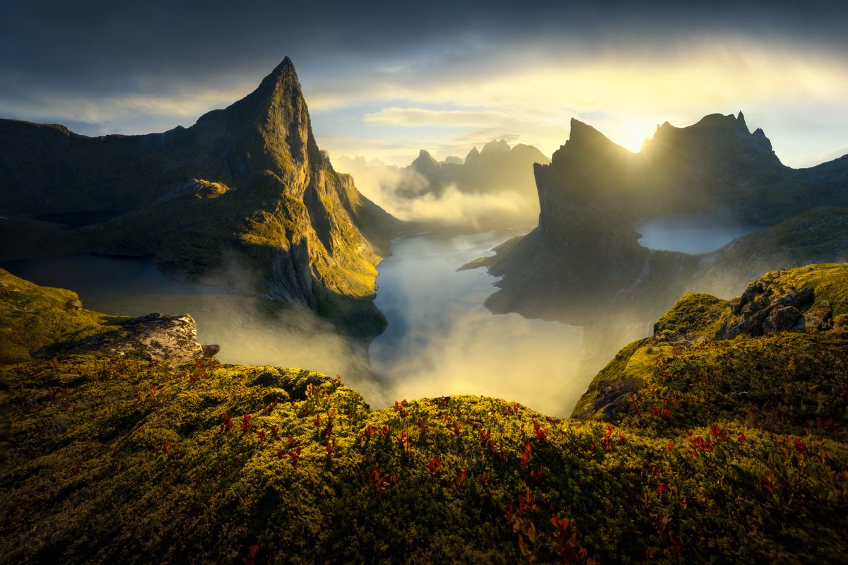 Purely Green tweet media