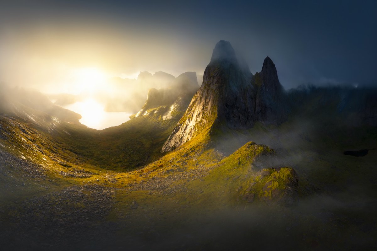 Purely Green tweet media