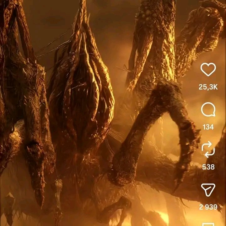 Heis Trusted tweet media