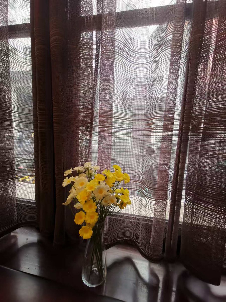 Angie Mavis tweet media