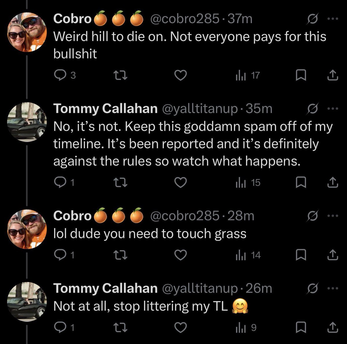 That Hayley Chick tweet media