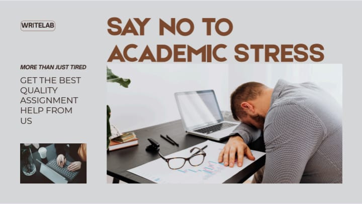 Academic Writer tweet media