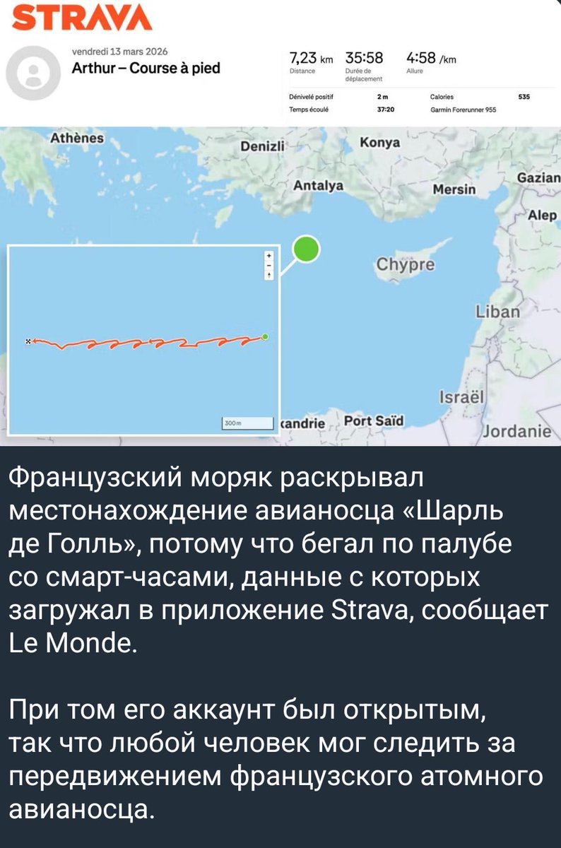 Die Raupe aus dem Wunderland 🇩🇪 tweet media