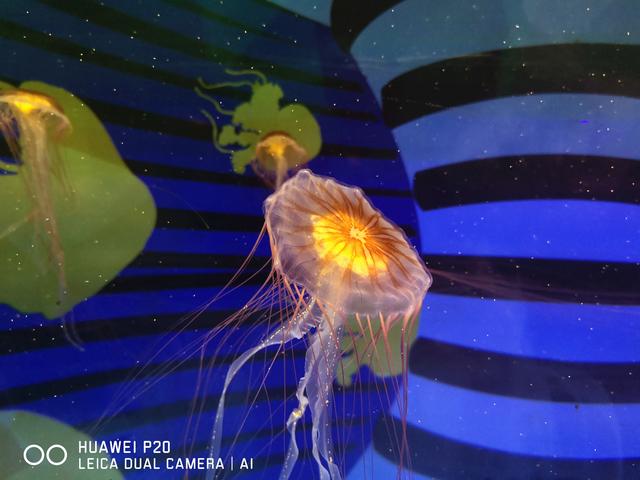 Alpha Beta tweet media