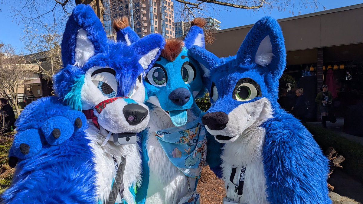 WolfPen/ Maclod tweet media