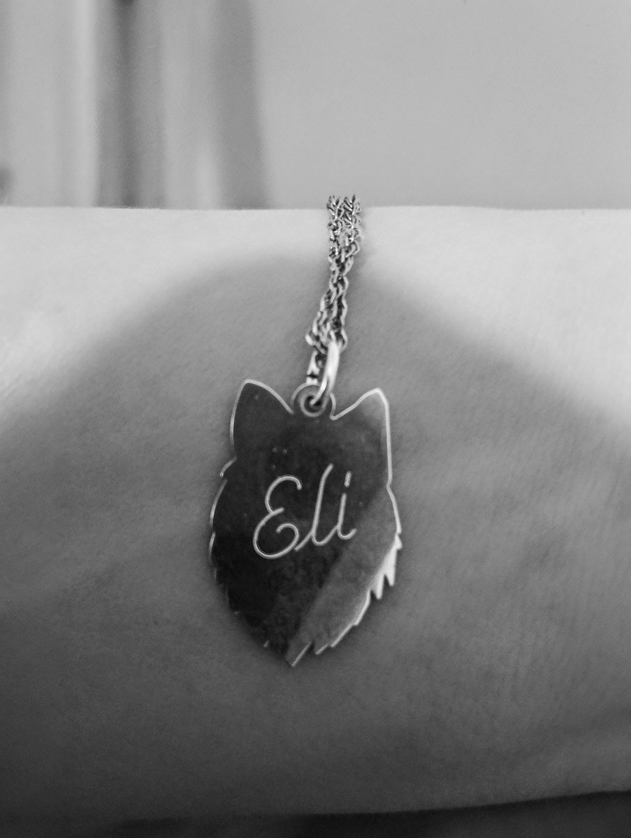 AishaJoon tweet media