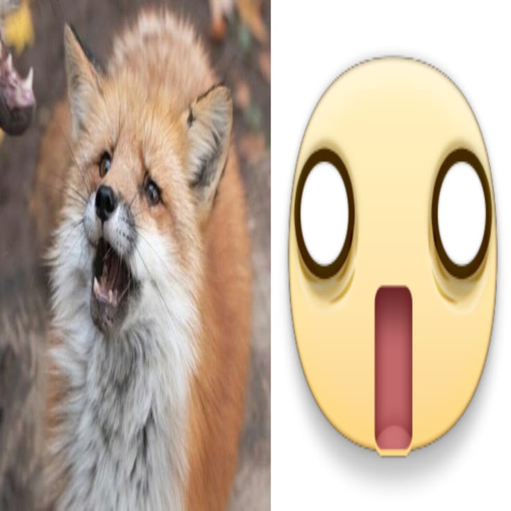 RuRu🦊🥀「VGen Open‼️」 tweet media