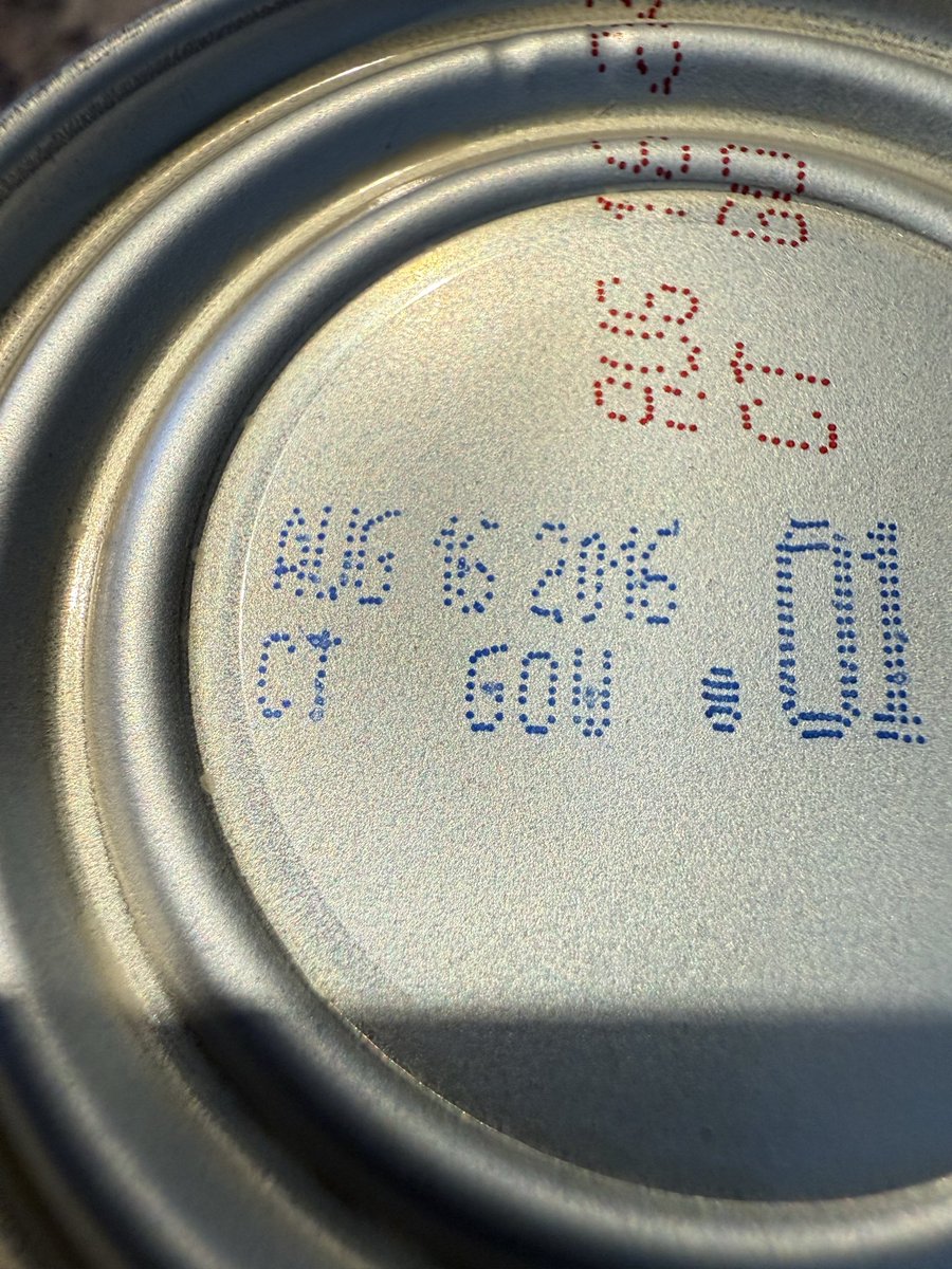 Werepup 🔜 TFF tweet media